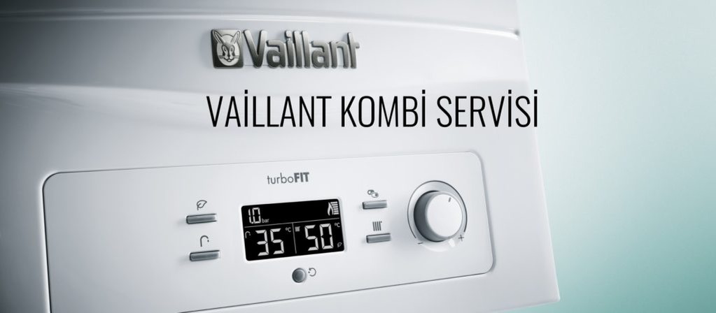 Van Vaillant Servisi